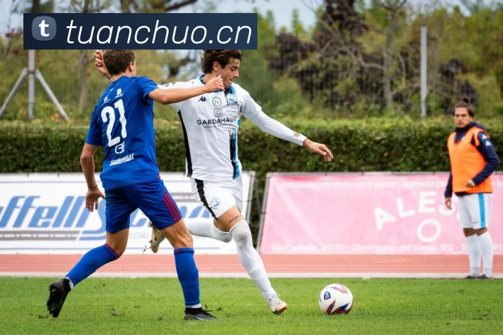 开云在线手机登陆平台生态图